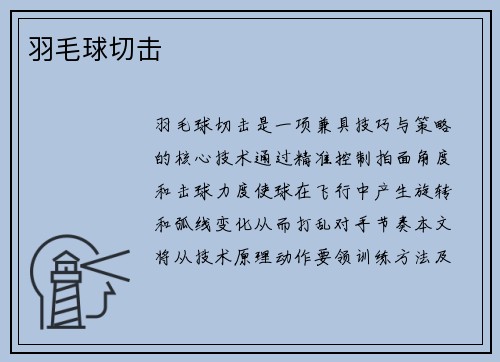 羽毛球切击